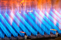 Dumplington gas fired boilers